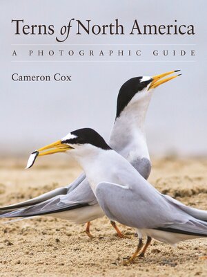 cover image of Terns of North America